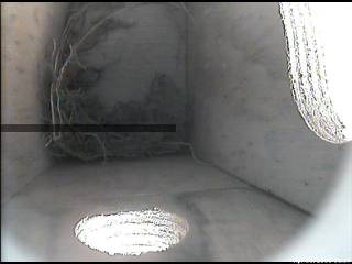 The start of the nest